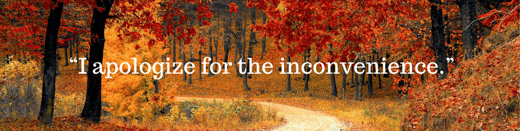 7 Powerful Customer Service Phrases You Need To Use Qminder