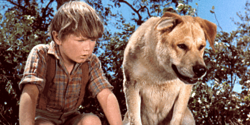 old yeller movie